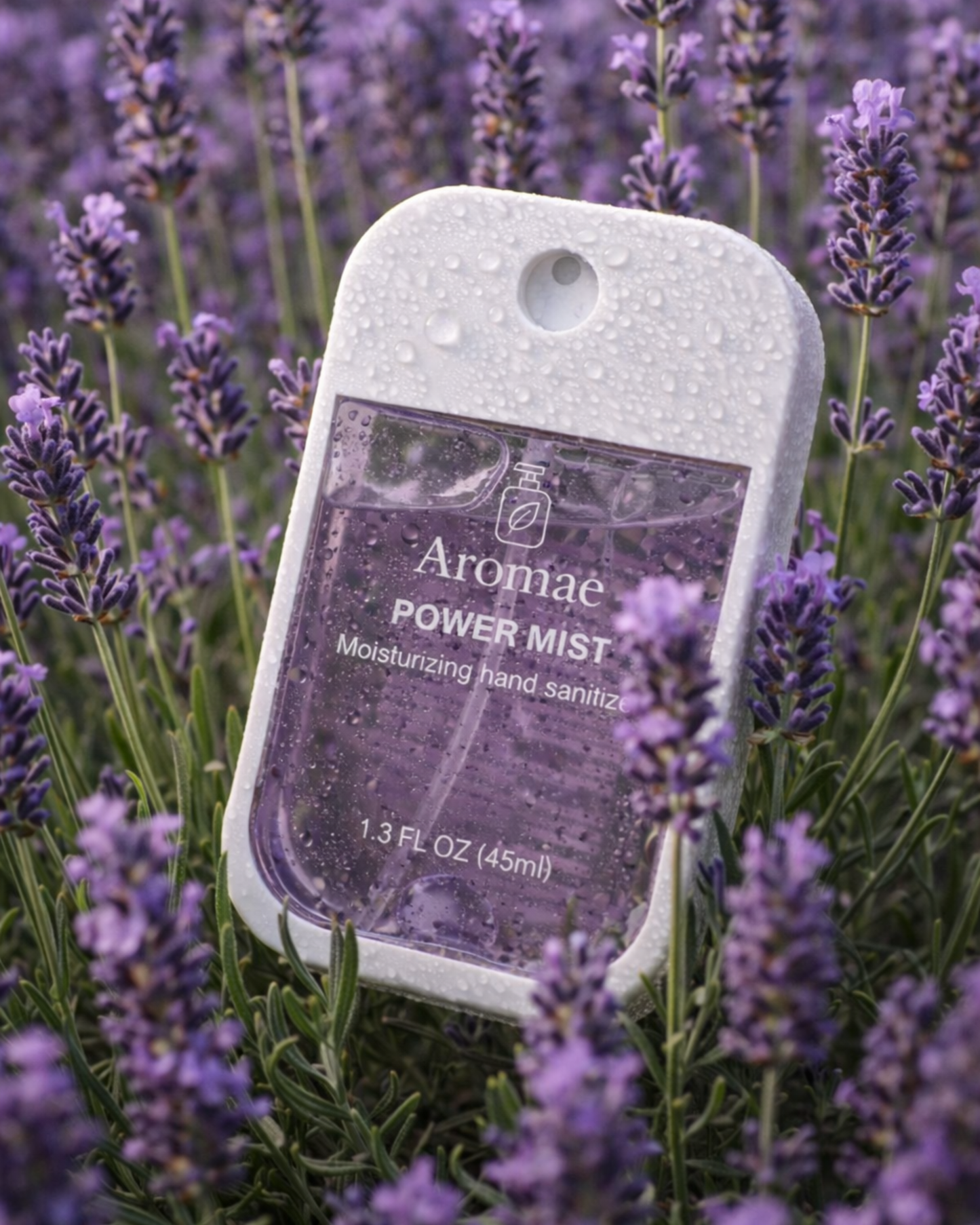 Lavish Lavender